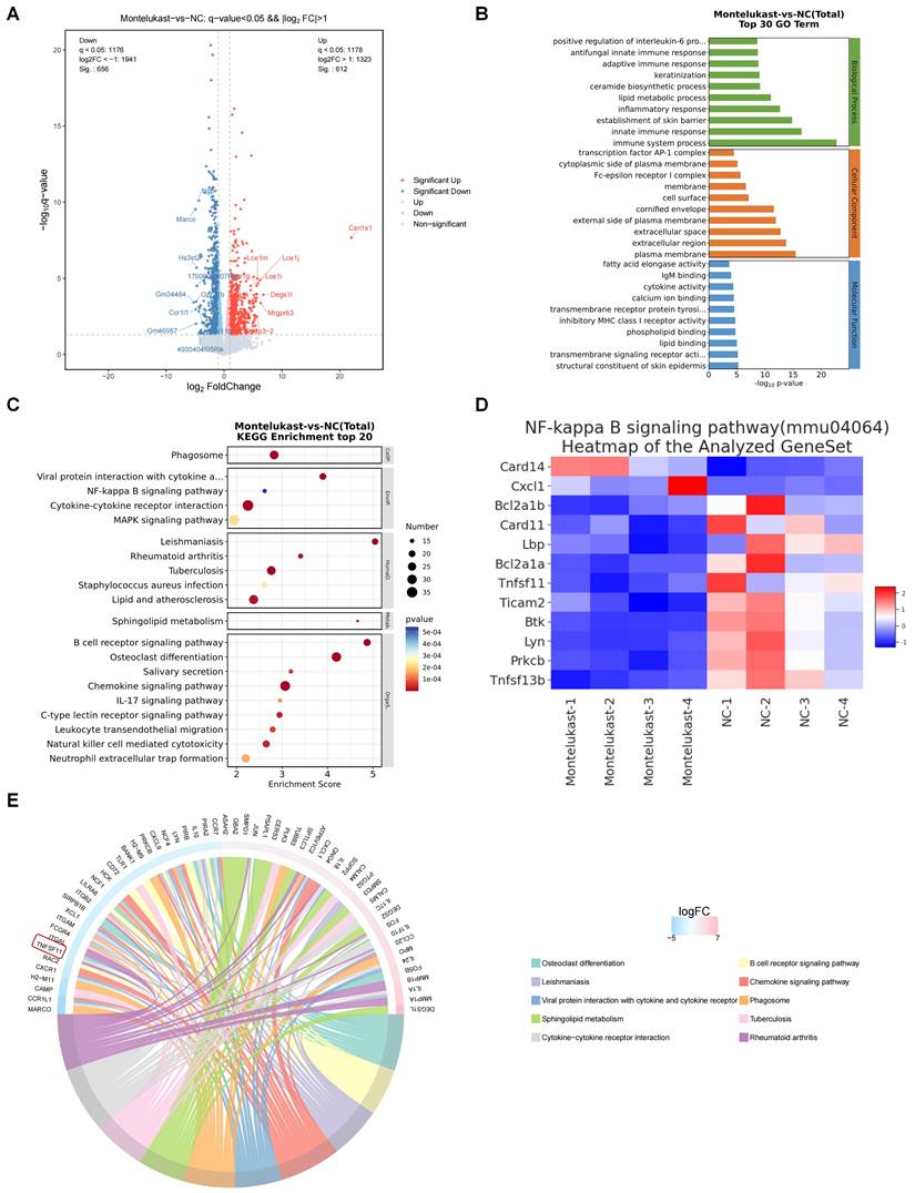 Int J Biol Sci Image