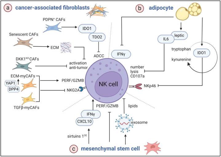 Int J Biol Sci Image