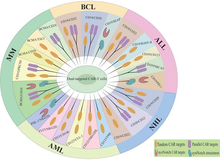 Int J Biol Sci Image