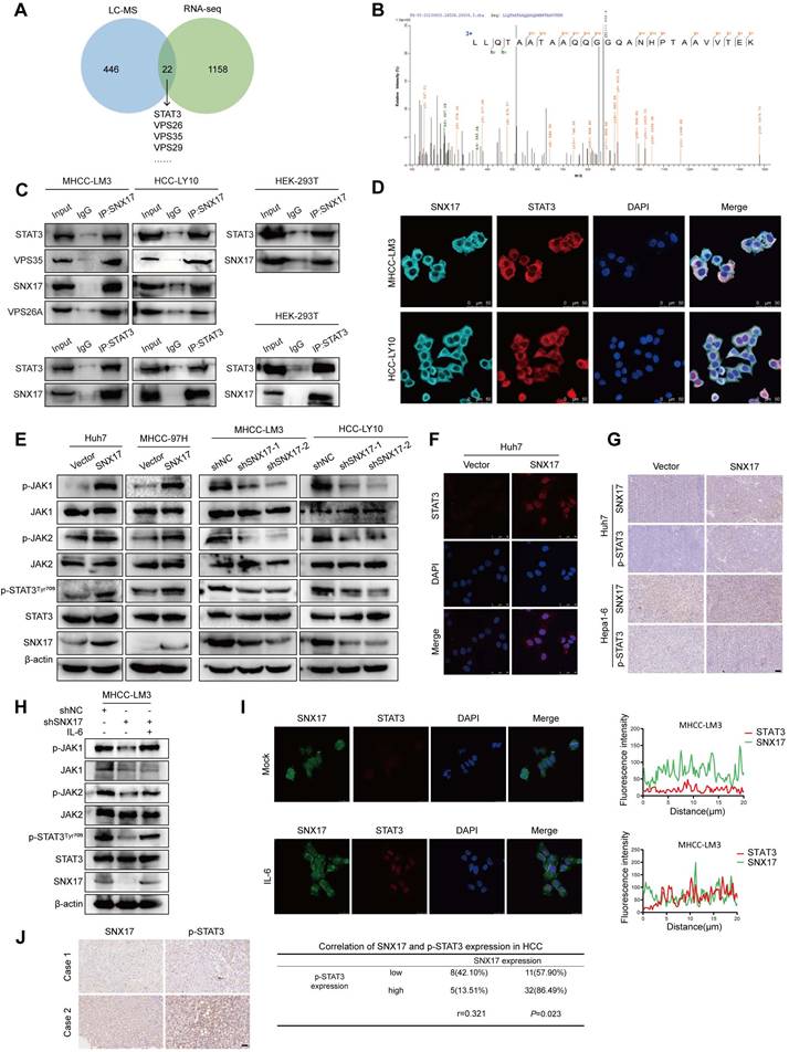 Int J Biol Sci Image