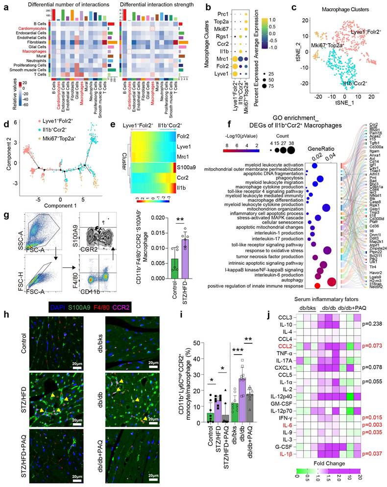 Int J Biol Sci Image