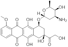 Int J Biol Sci inline graphic