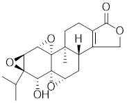 Int J Biol Sci inline graphic