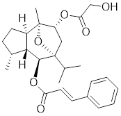 Int J Biol Sci inline graphic