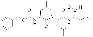 Int J Biol Sci inline graphic