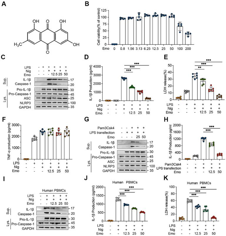Int J Biol Sci Image