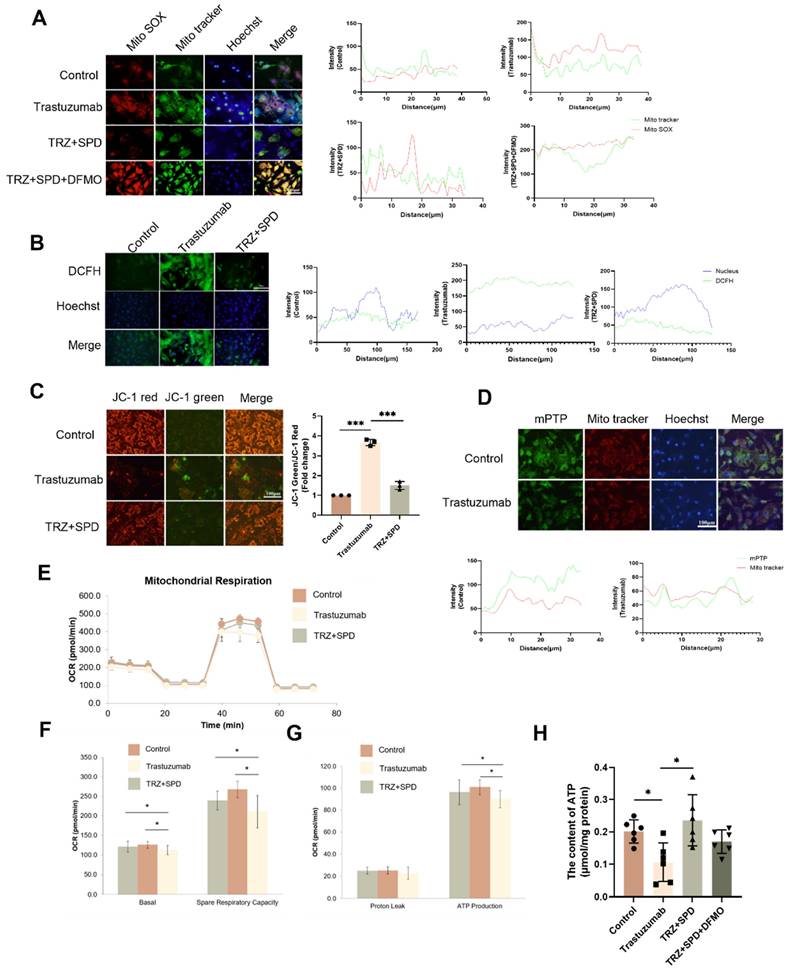 Int J Biol Sci Image