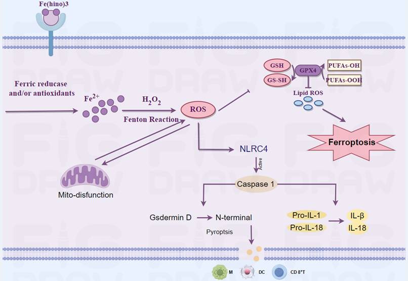 Int J Biol Sci Image
