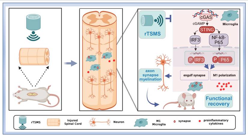 Int J Biol Sci Image