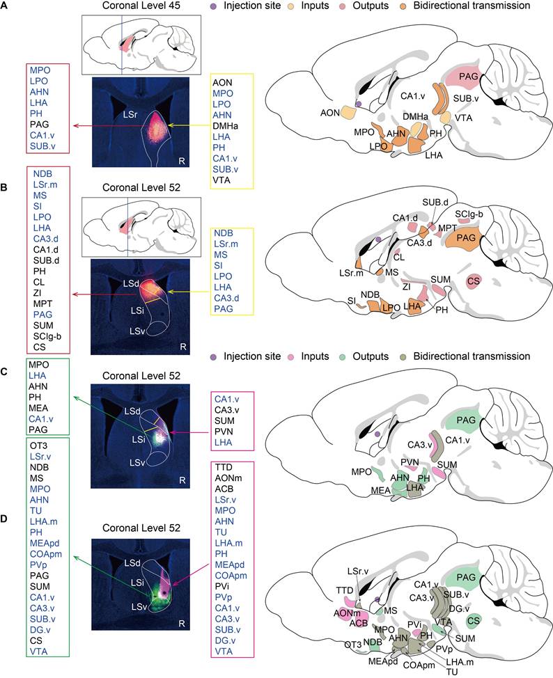 Int J Biol Sci Image