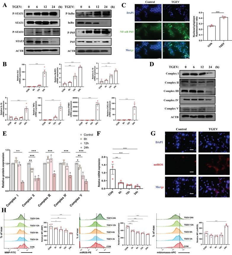 Int J Biol Sci Image