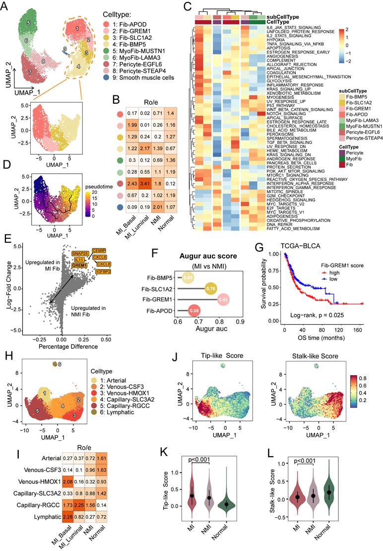 Int J Biol Sci Image