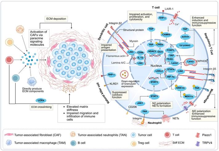 Int J Biol Sci Image