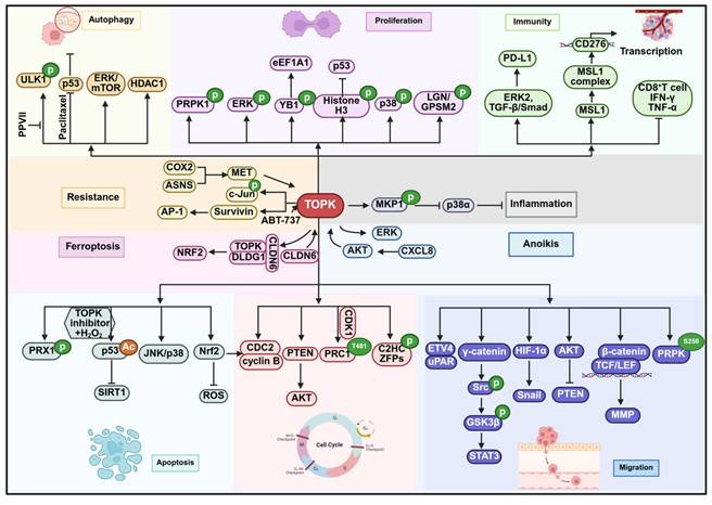 Int J Biol Sci Image
