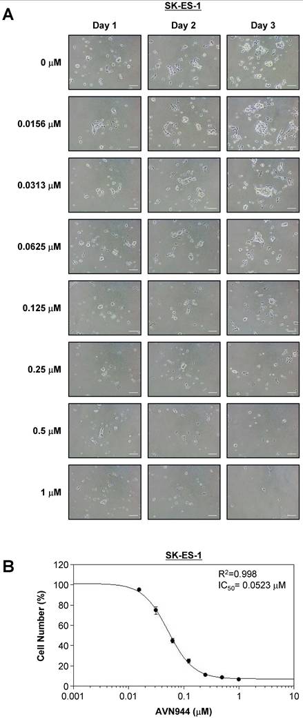 Int J Biol Sci Image