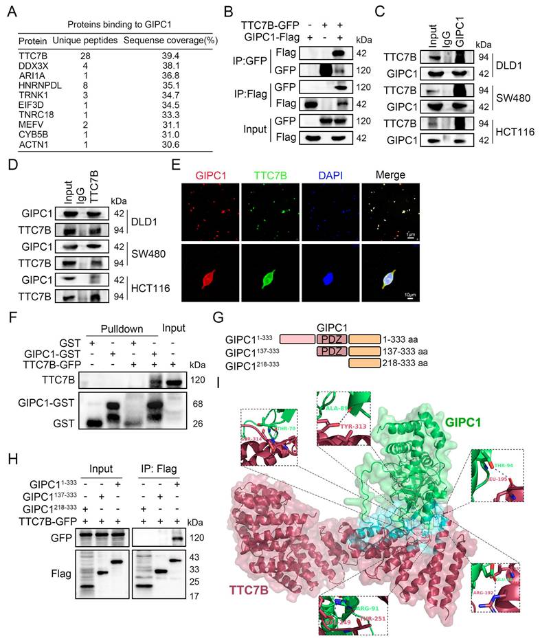 Int J Biol Sci Image