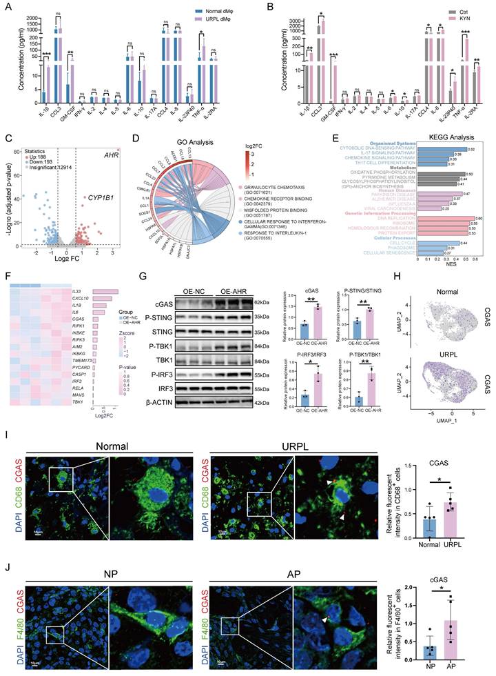 Int J Biol Sci Image