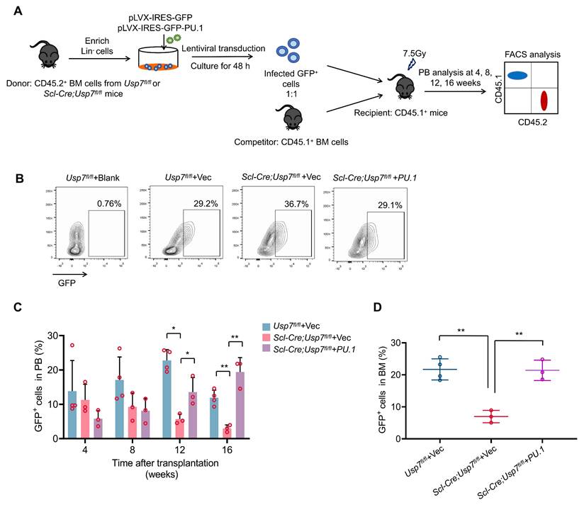 Int J Biol Sci Image