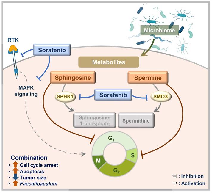 Int J Biol Sci Image