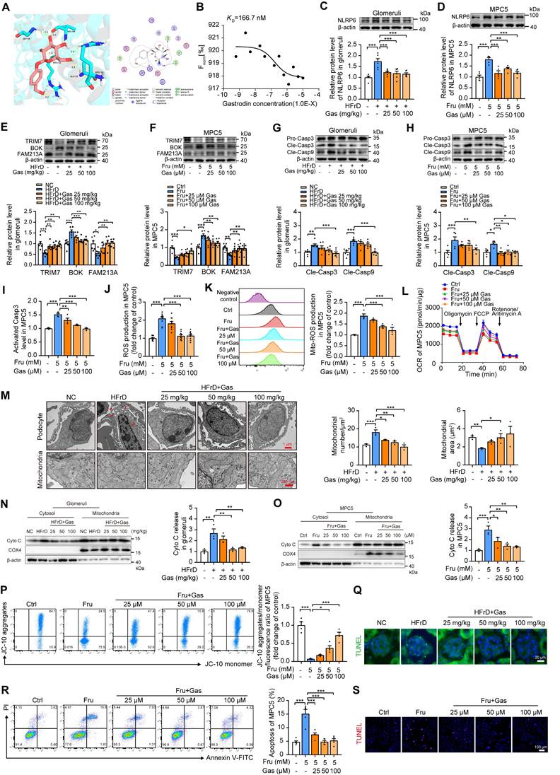 Int J Biol Sci Image