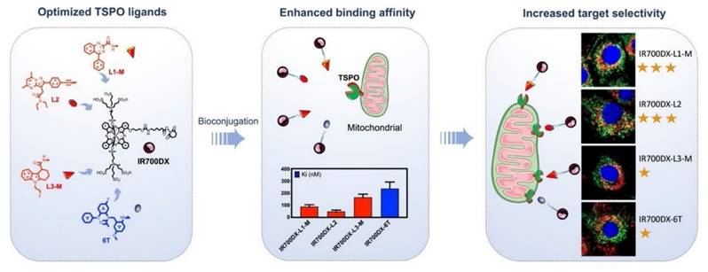 Int J Biol Sci Image