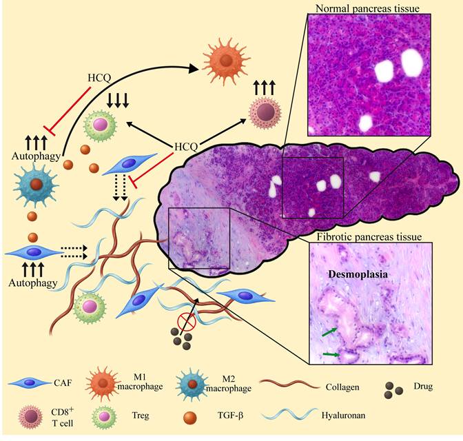 Int J Biol Sci Image