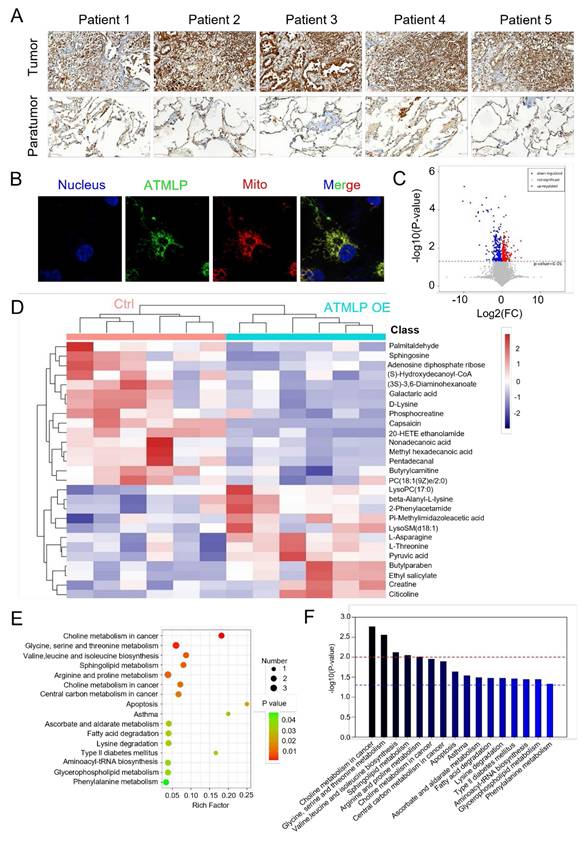 Int J Biol Sci Image