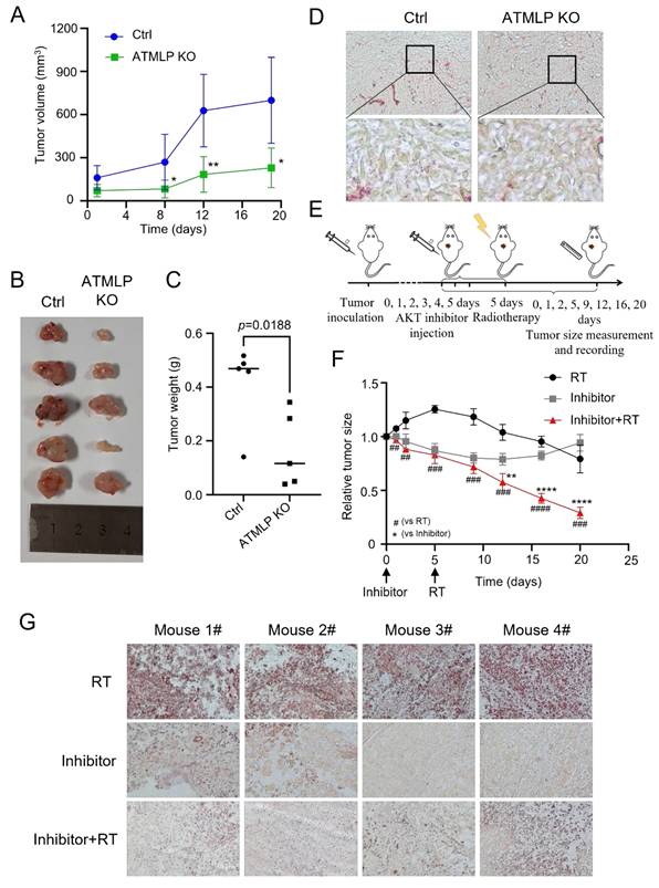 Int J Biol Sci Image