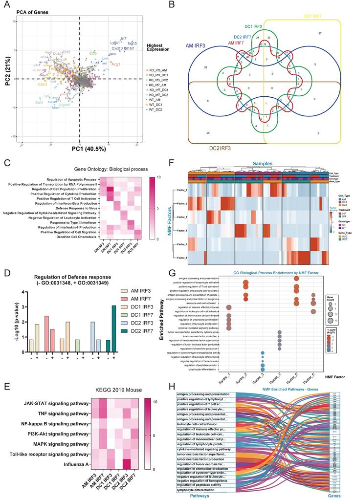 Int J Biol Sci Image