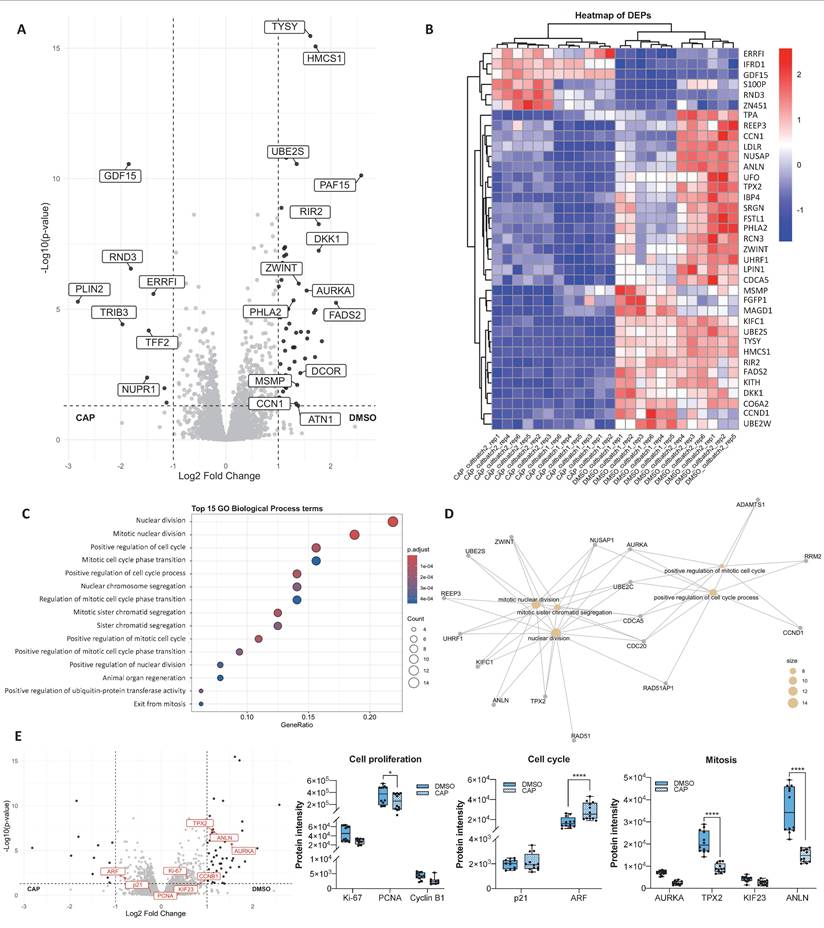 Int J Biol Sci Image