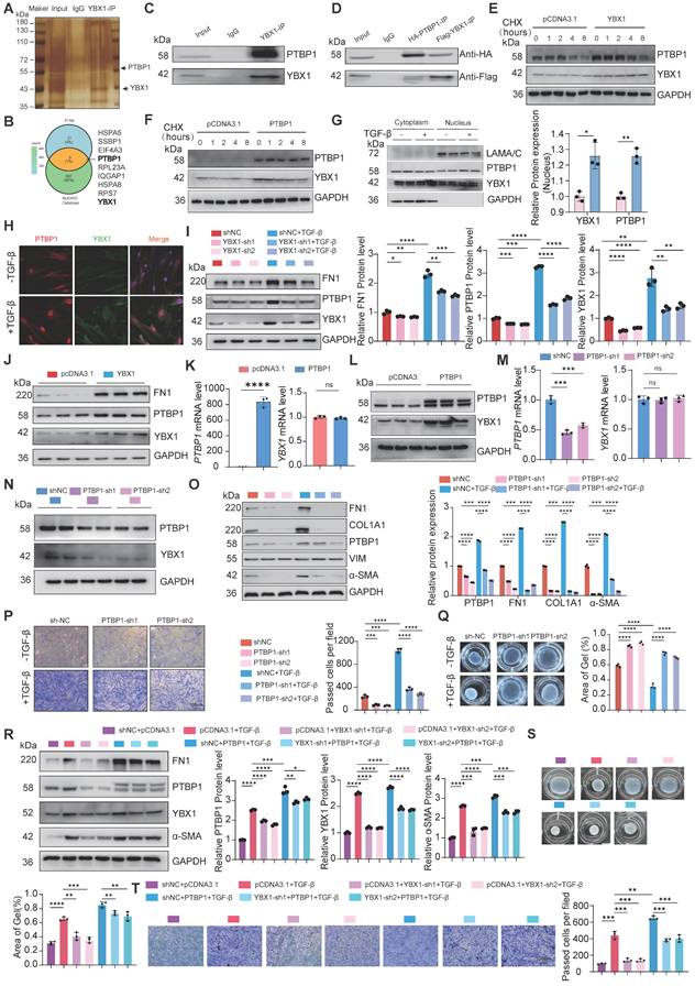 Int J Biol Sci Image