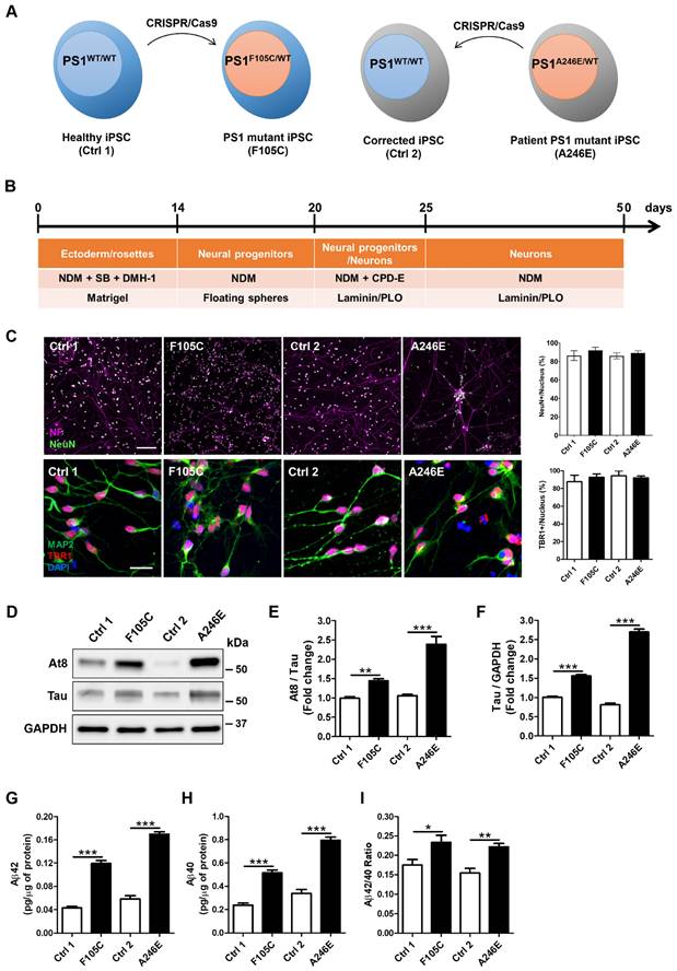 Int J Biol Sci Image