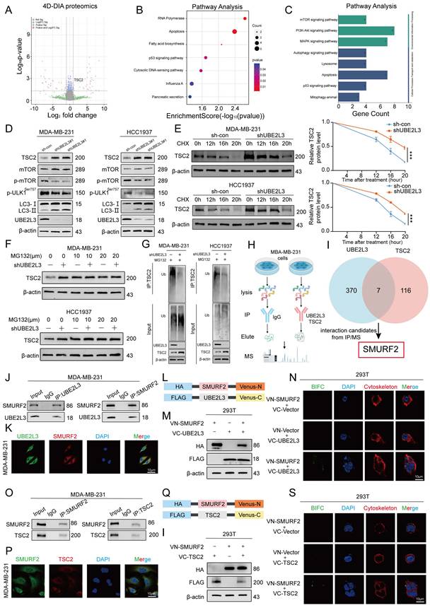 Int J Biol Sci Image