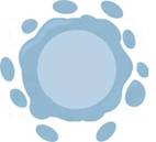 Int J Biol Sci inline graphic