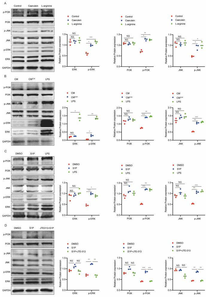 Int J Biol Sci Image
