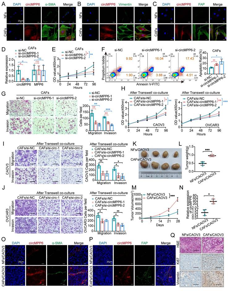 Int J Biol Sci Image