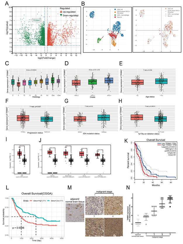 Int J Biol Sci Image