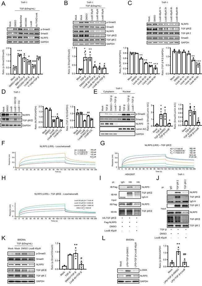 Int J Biol Sci Image