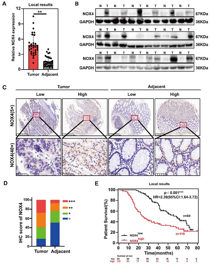 Int J Biol Sci Image