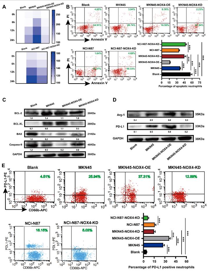 Int J Biol Sci Image