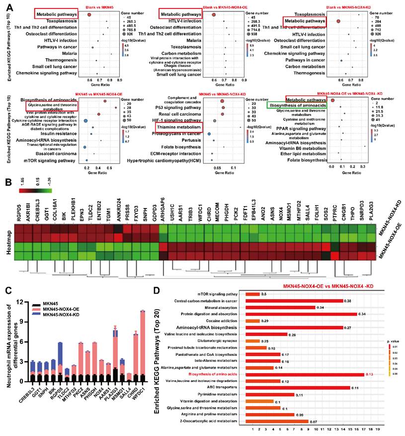 Int J Biol Sci Image