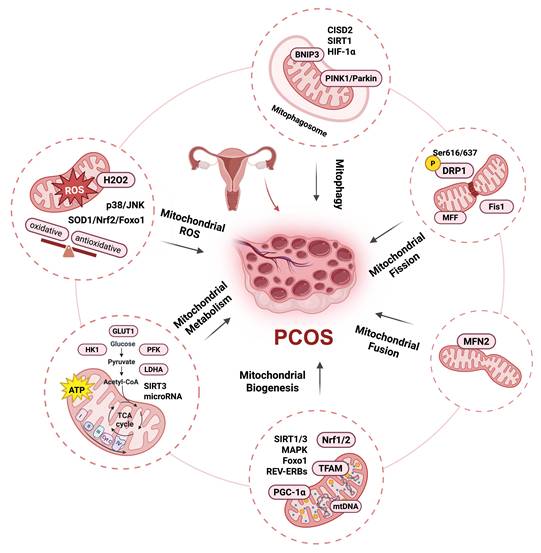 Int J Biol Sci Image