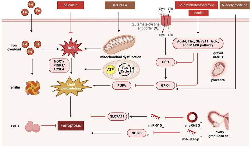 Int J Biol Sci Image