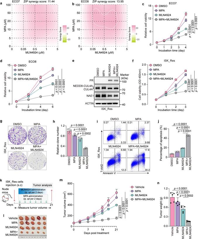 Int J Biol Sci Image