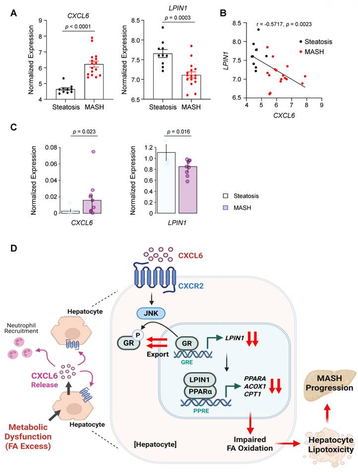 Int J Biol Sci Image