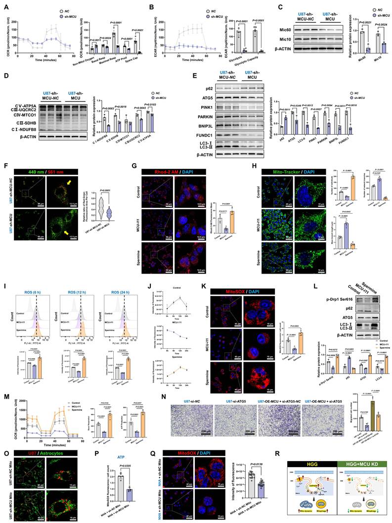 Int J Biol Sci Image