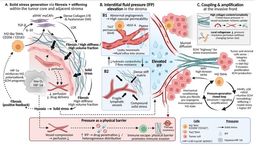 Int J Biol Sci Image