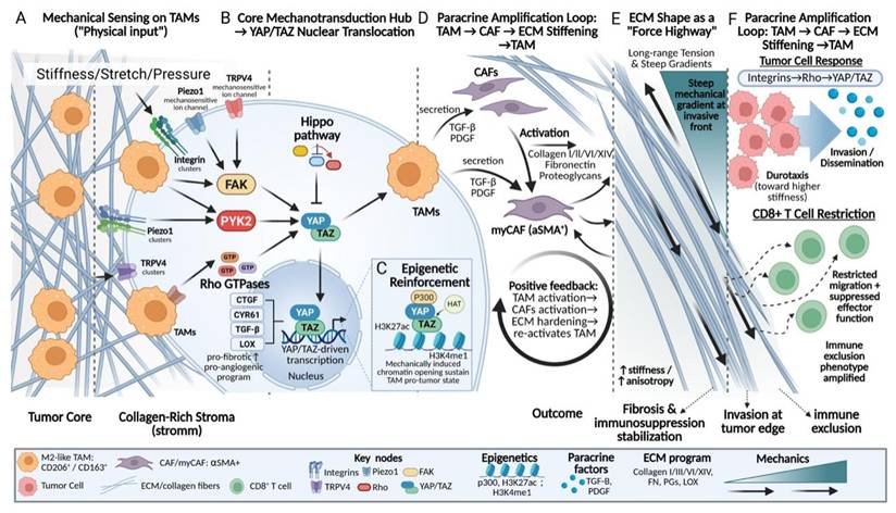 Int J Biol Sci Image