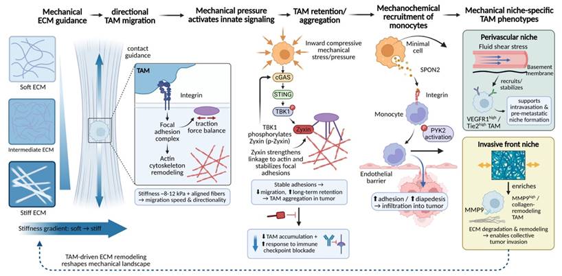 Int J Biol Sci Image