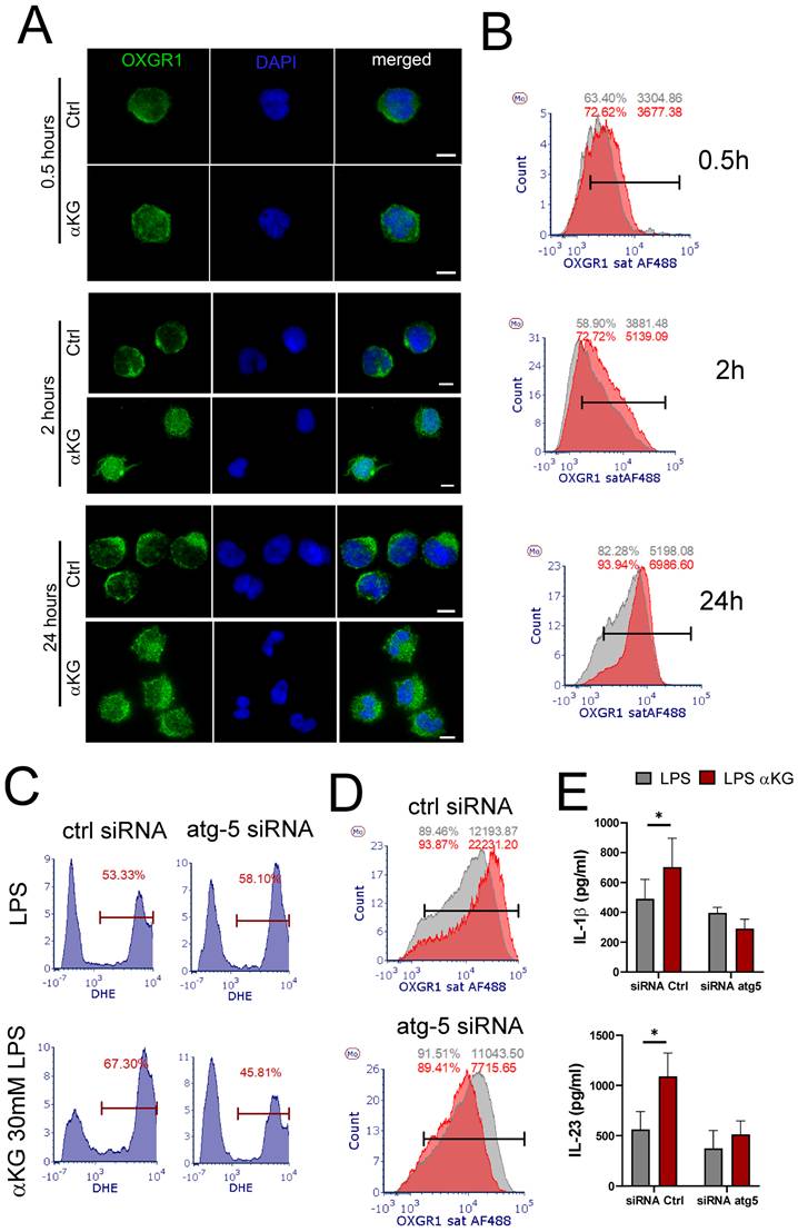 Int J Biol Sci Image